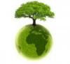 photo_article_env